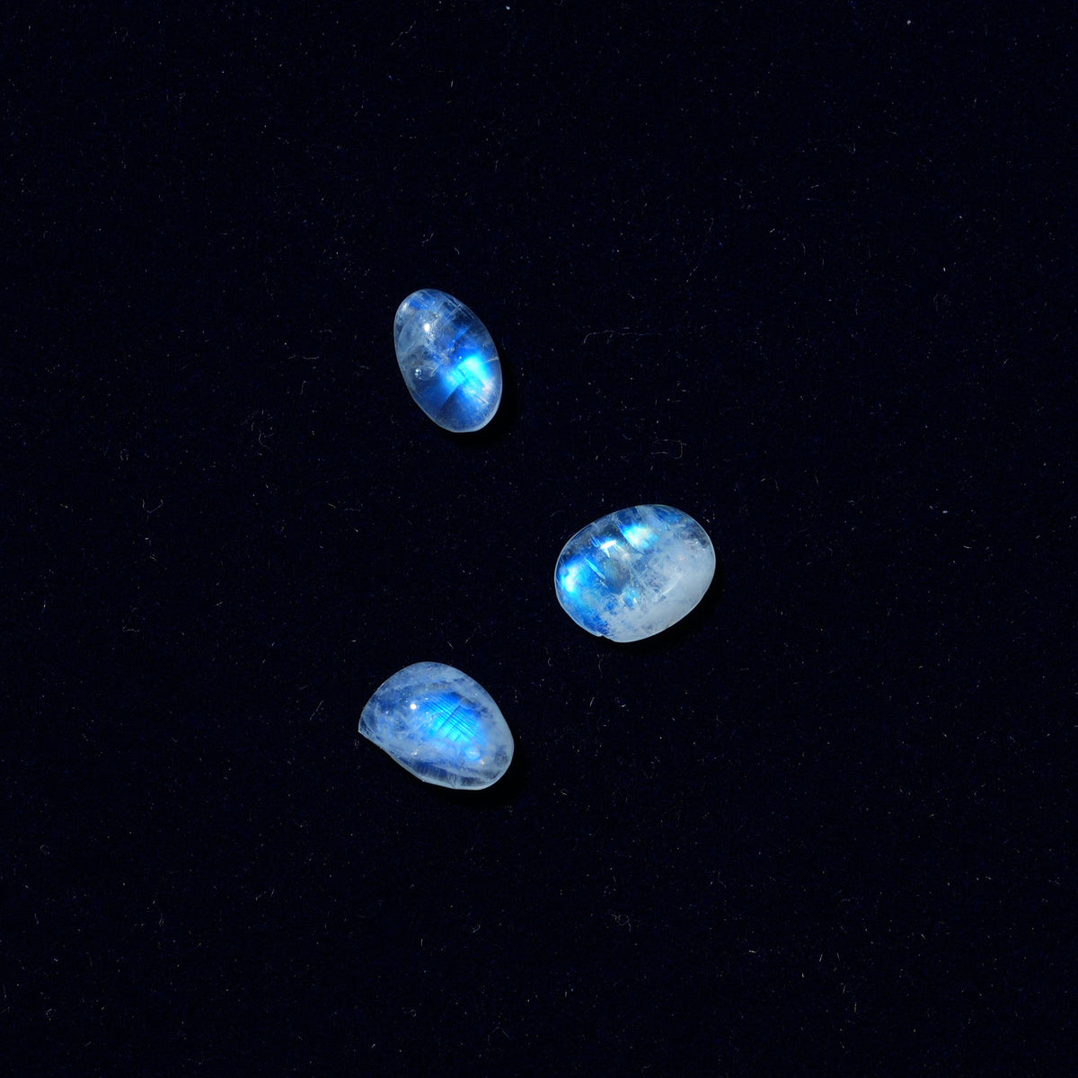 Three moonstones on navy velvet, before setting